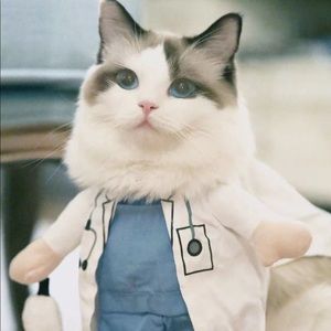 Meet your Posher, Miranda